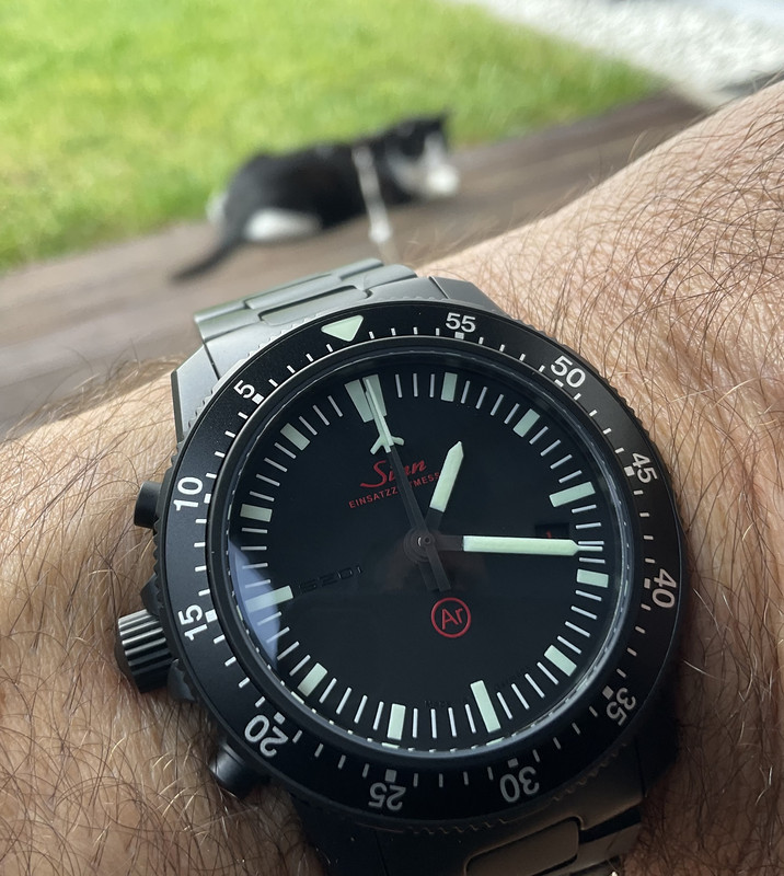 F8D0234C-02B5-4E10-AAF9-B56B8D4A3A8F