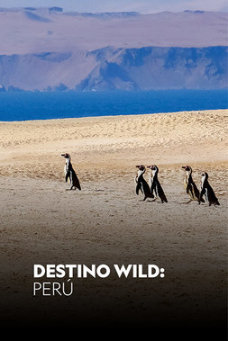 Destino Wild: Perú (2018) WEB-DL 1080p Español Latino 2/2