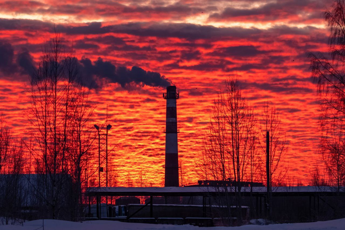 photo_2024-01-22_18-00-04 (2)