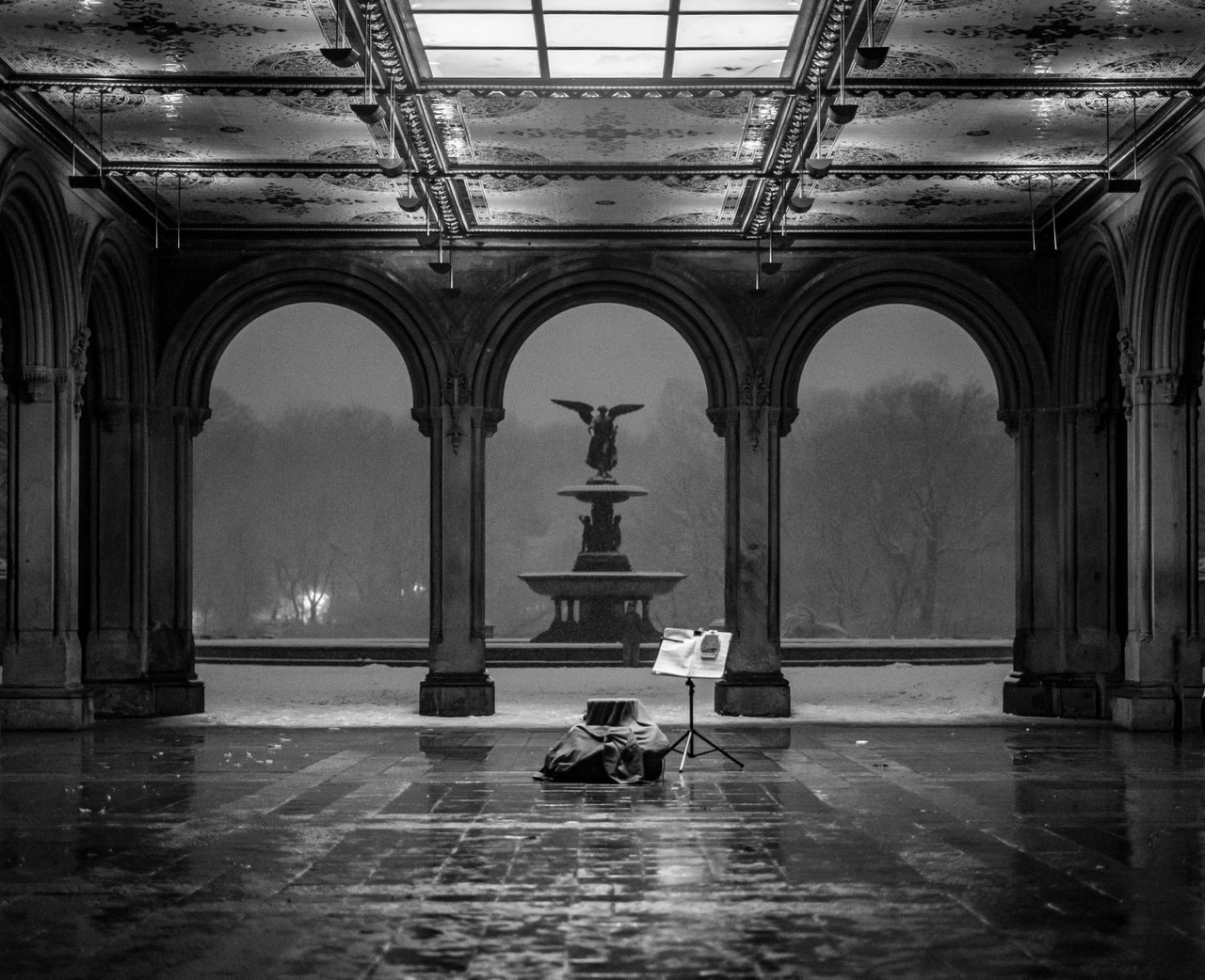 central park snow (2)