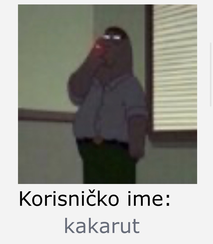 slika