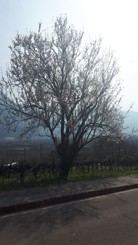 20190309_123653_019_01