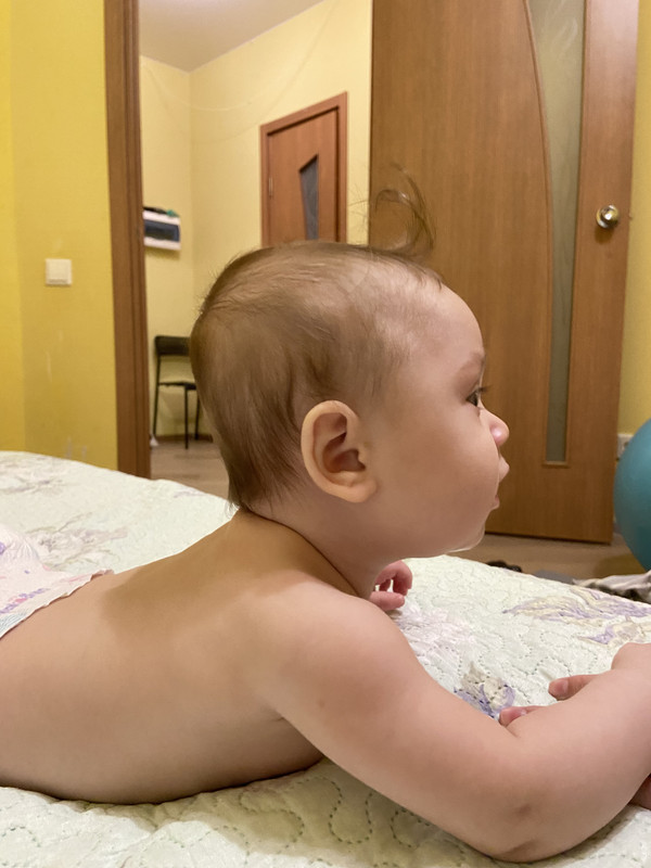 C0DD306B-7F6F-4A2E-9B73-25B05F59400A