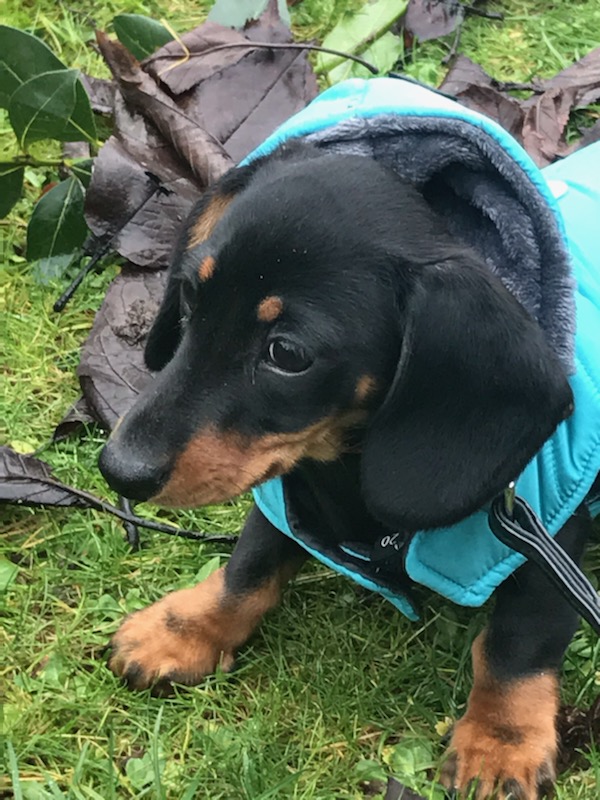 [Image: IMG-3444.jpg]