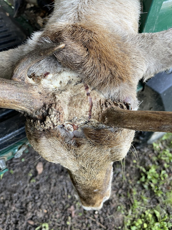 766EEA97-61EF-49EA-8DAD-82395AD88658