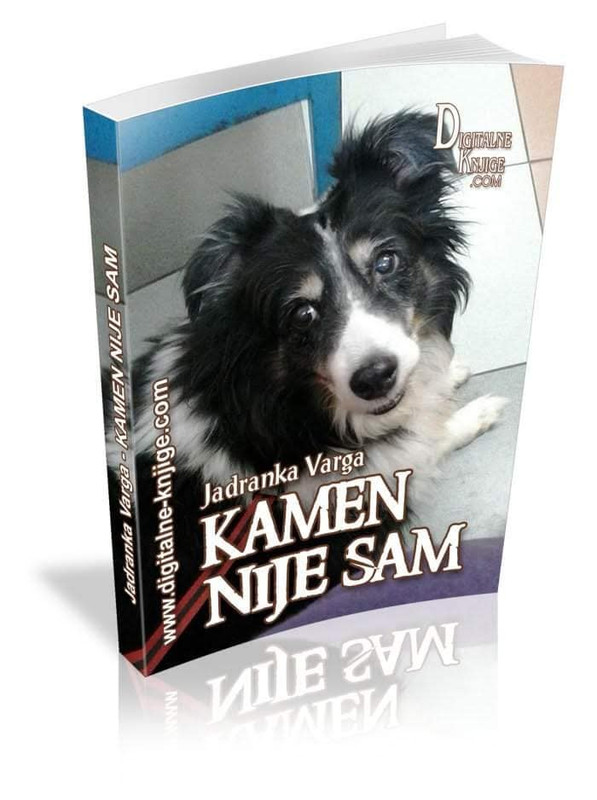 486572782-2874601122714640-3126935097932877365-n