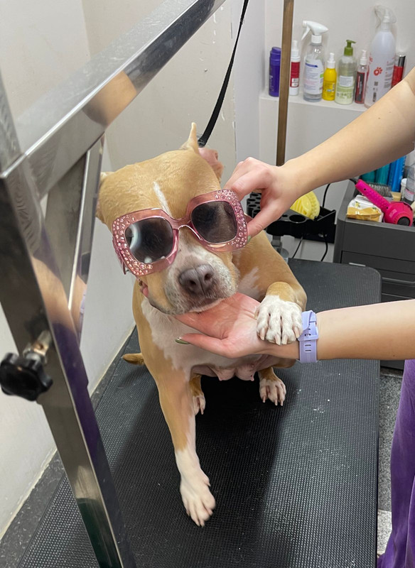 C0169CCF-4383-4378-ACF9-2D39DA8A08A9