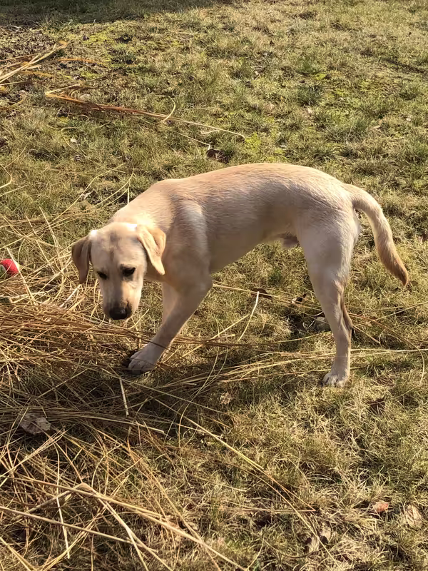 53CAF4B9-0DA1-46B7-82E6-587C501F7B46