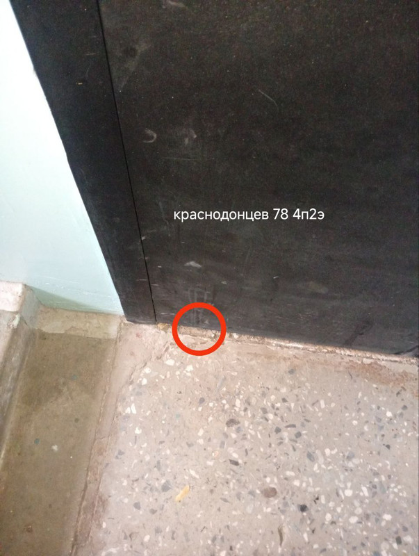 photo 4 2025 10 29 15 55 58