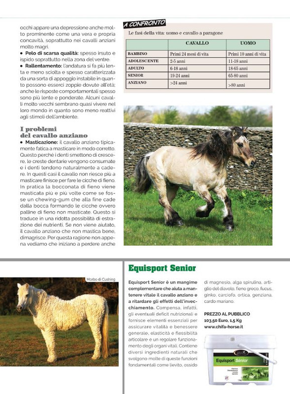 Il Mio Cav (Ott 2022) (10)