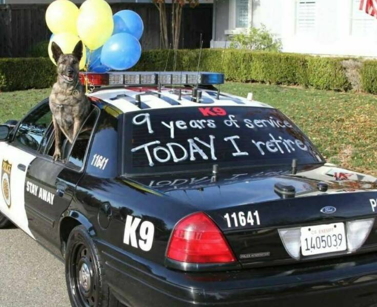 daily-picdump-18-1.jpg
