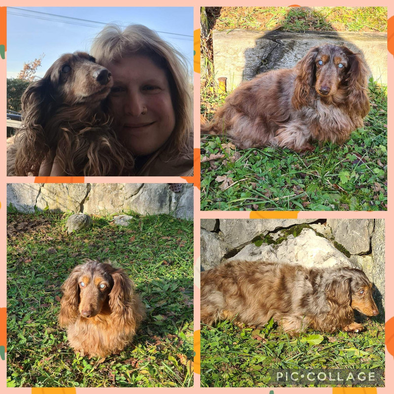 [Image: received-1780772512305715.jpg]