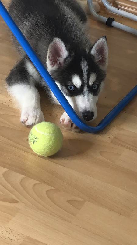 4B7528E2-D144-4865-88E7-552D86A9A8E1