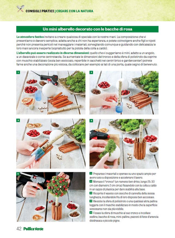 Pol Ver Dic 2024-Gen 2025 (7)