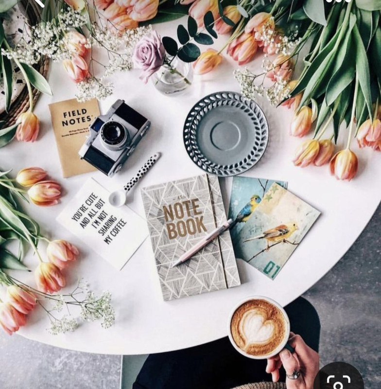 Screenshot_20230330_234351_Pinterest