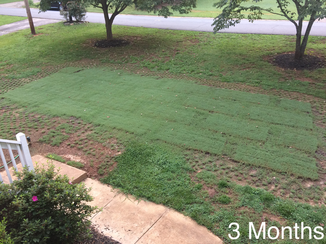 DA909816-5C05-4AF1-AA51-B802EB42D216