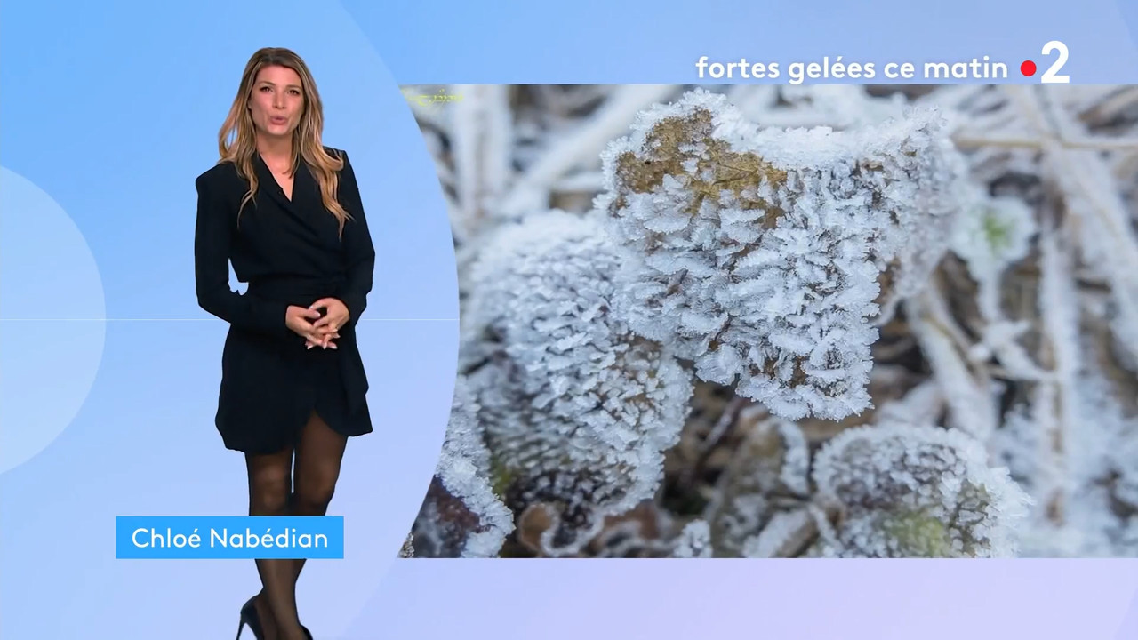 2022-04-04_21_00_Fr2_Meteo.mp4_snapshot_08.49.627