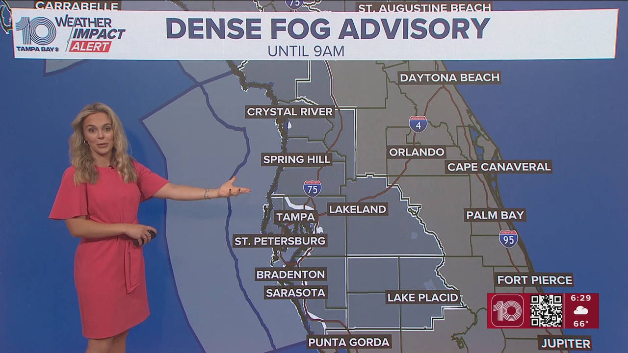 10 Tampa Bay News This Morning at 600 a m 20251124 11001200 ts snapshot 31 06 396