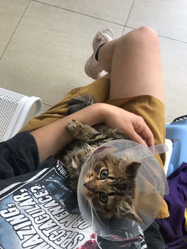 D6F9ED0F-127C-4801-8EF6-FF1A9225C3BC