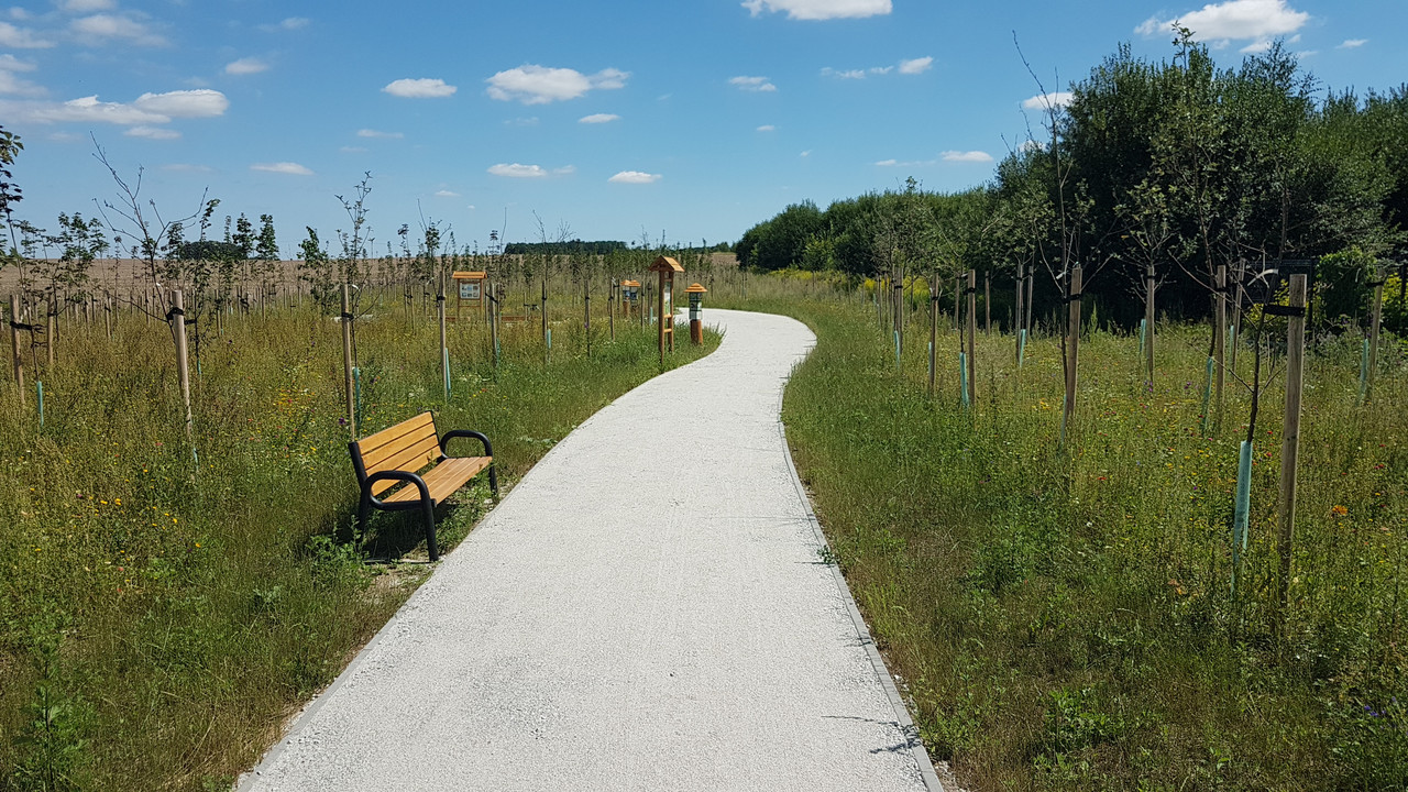 20240730_TG_ZielonaPrzestrzen_Chrobrego_01