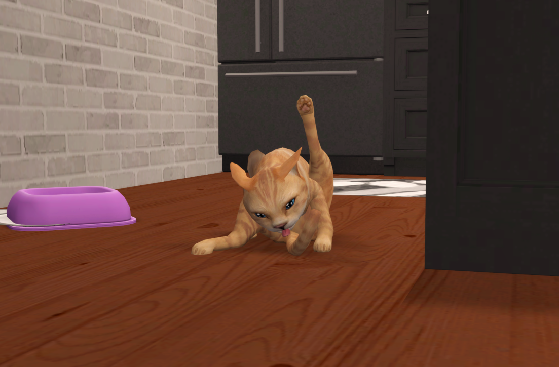 Sims2-EP9-RPC-2021-08-08-15-43-32-13