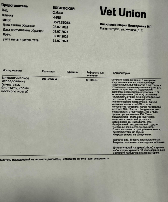 цитология ветюнион — Postimages