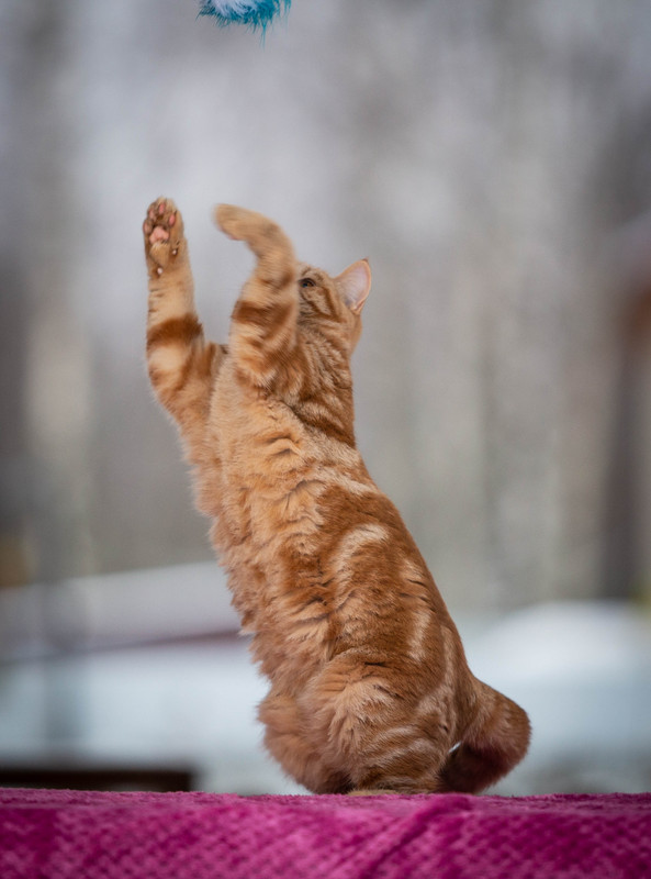 -------------- (1 из 1)