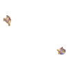 https://i.postimg.cc/x8D77SXr/IMG-2042.webp