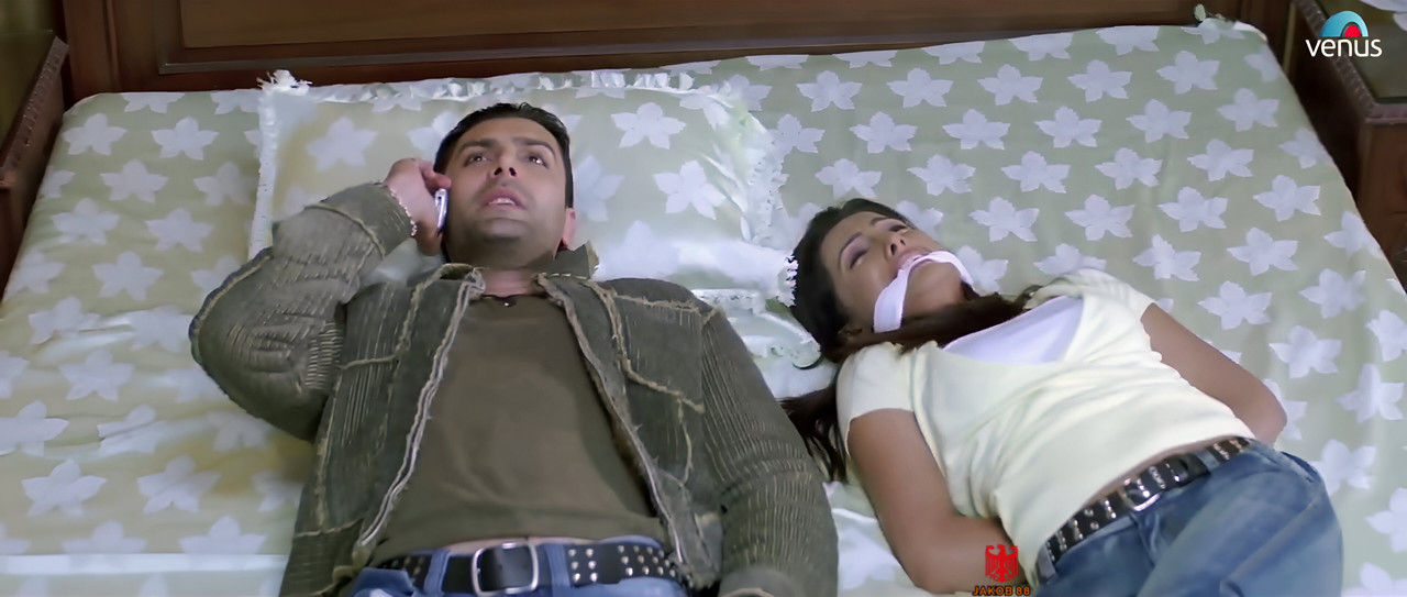 Geeta Basra 2 - The Train 2007