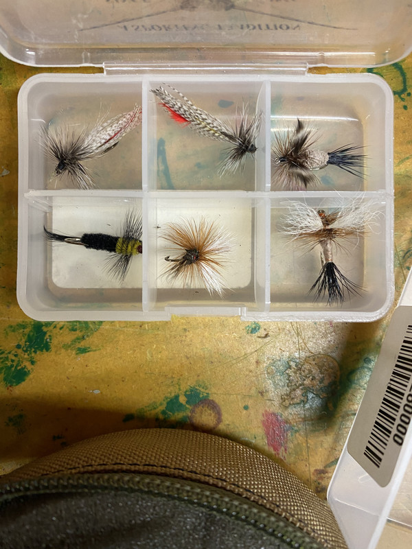 ADF0F253-6019-4160-9734-E96D1872718D