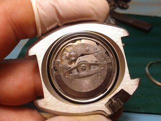 75567401_10220954654122686_5758773192214708224_o