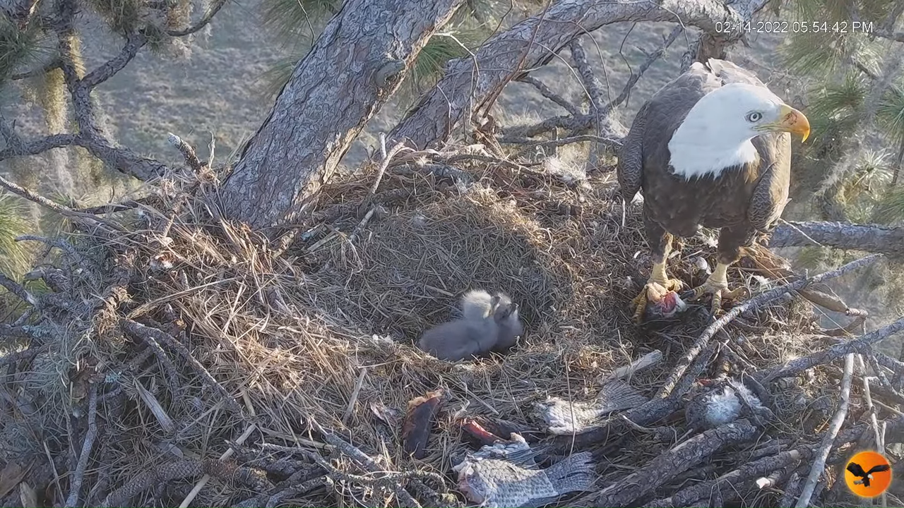 EC 4K Overhead Cam 3-45-28 screenshot