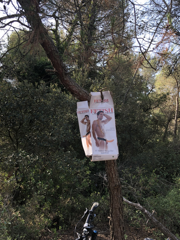 2A738025-B635-48A9-8BB5-4377A184885D