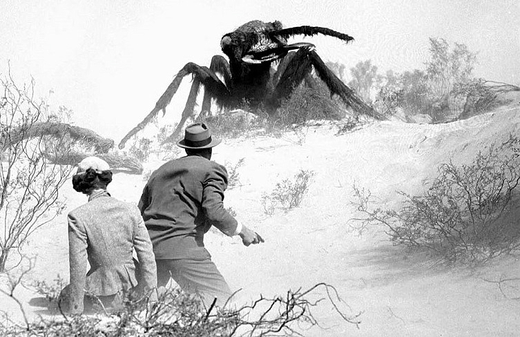 THEM-ANT-2-A-FOTOR.jpg