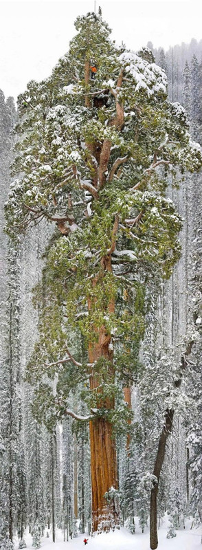 Amazing-27