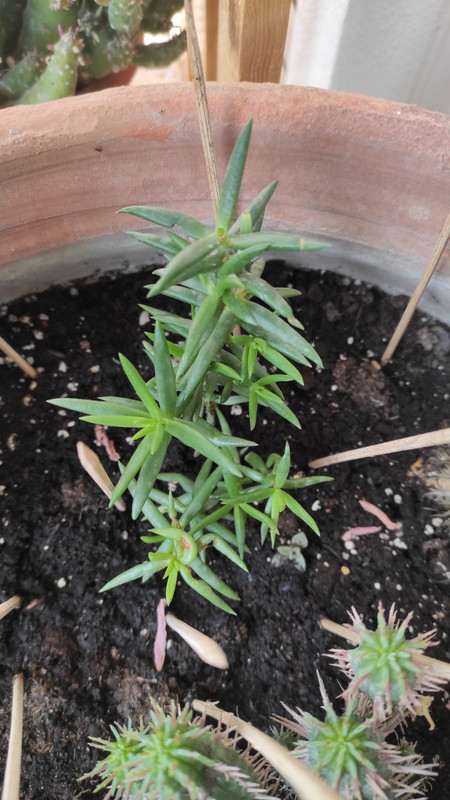 WhatsApp Image 2022-05-12 at 1.40.10 PM