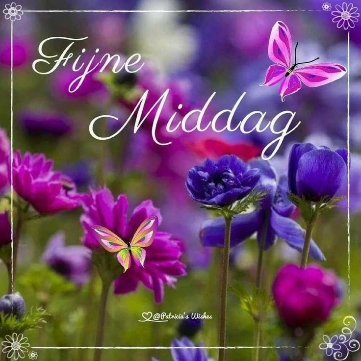 27bf4f7931edc3552f90557cefb6d424