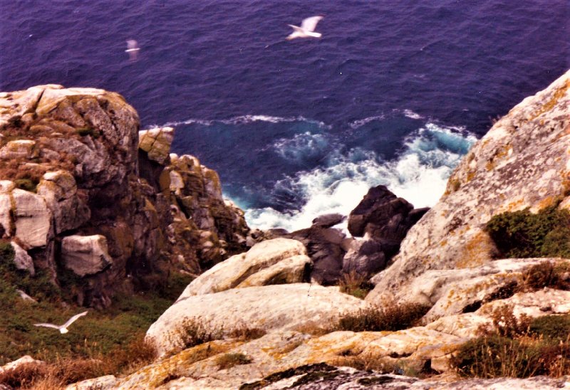 ISLAS CIES-7-8-1992-VIGO-GALICIA - Paseando por España-1991/2024 (7)