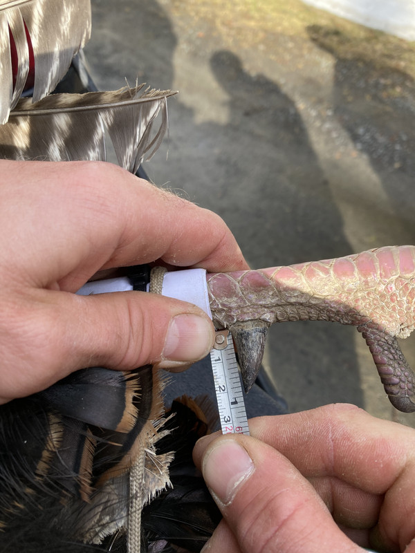 0AEDFA0D-C6E2-431F-BF67-31549516DFBB