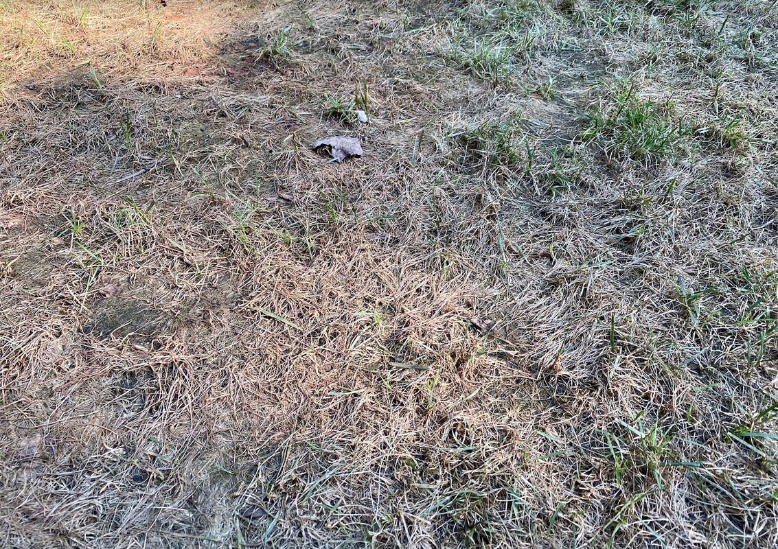 Screen Shot 2021-07-27 at 8.24.33 PM