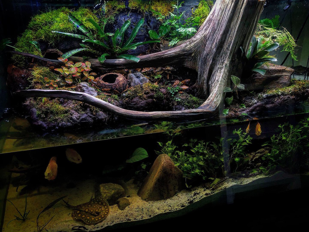 DC5A1D21-0109-4E30-86C4-2297AB0D8F22