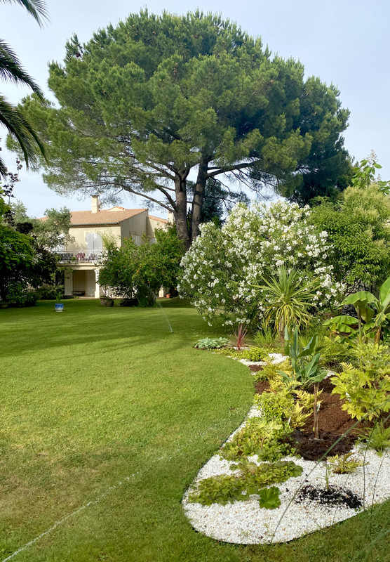 6F1C2649-4B07-492F-8136-1A9144991D98