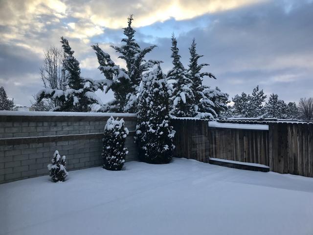 [Image: C5-F4-ACC9-9-DE9-4553-92-AA-D58757-BE2505.jpg]