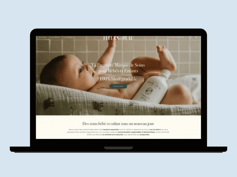 Shopify Developer
