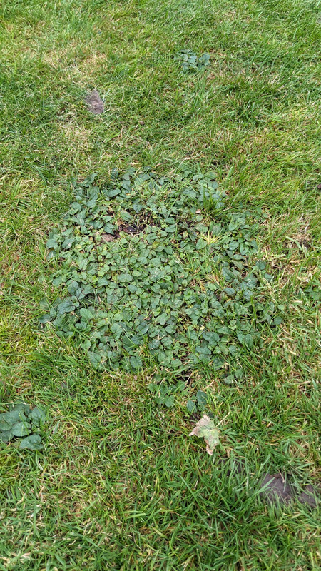 PXL_20231023_150013548