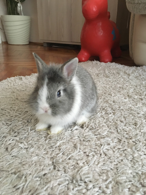 7E0890CE-C1B0-4710-9DE6-D75AA1BD5CE5