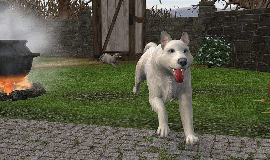 screenshot_2026_01_24_21_39