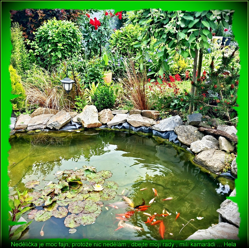 neděle22.6.2025úúpr