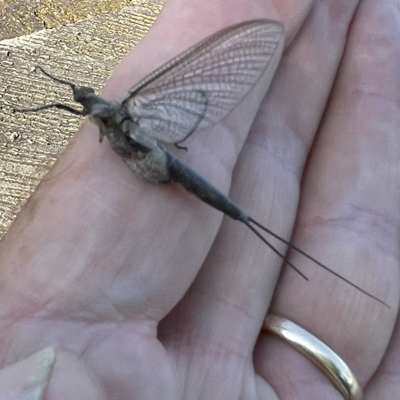 6CB485DC-1B61-49CF-8D76-565A8A9672C3