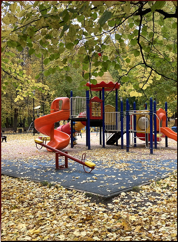 https://i.postimg.cc/x8HJyVM4/IMG-6857-jpg.jpg